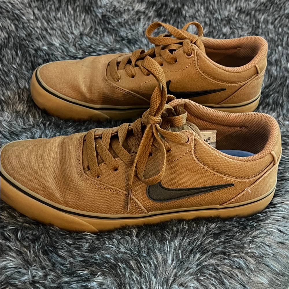 Nike SB Chron 2 Canvas shoe